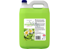 LAVON flüssige Seife Hand Care Aloe Vera, 5 l