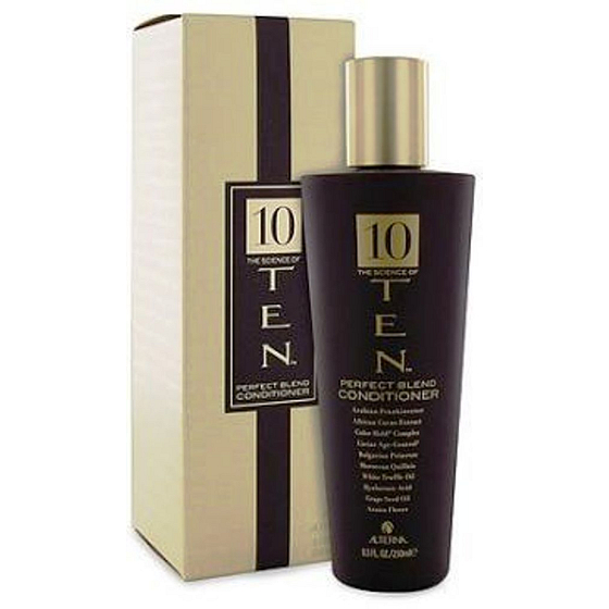 Alterna TEN Perfect Blend Conditioner für die sofortige Feuchtigkeitsversorgung von dehydriertem Haar 250 ml