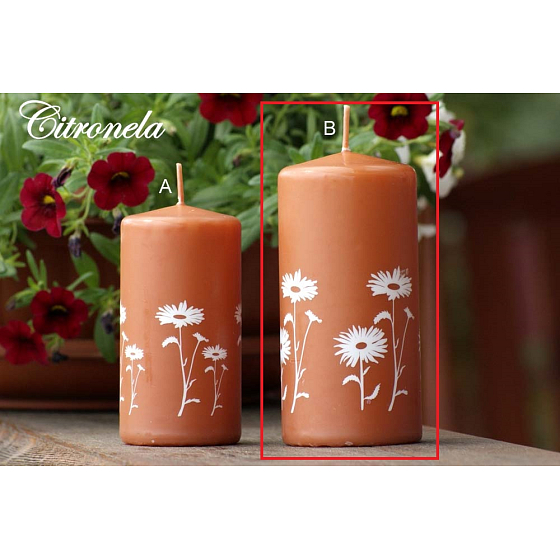 Lima Citronela Mückenschutz Kerze duftend mit Blumen Zimt Zylinder 60 x 120 mm