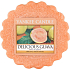 Yankee Candle Delicious Guava - Leckeres Guaven-Duftwachs für Duftlampe 22 g