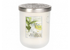 Heart & Home Weißer Tee und Eukalyptus Soja-Duftkerzenmedium brennt bis zu 30 Stunden 110 g