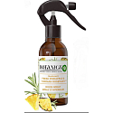 Air Wick Botanica Frische Ananas und tunesischer Rosmarin Lufterfrischer Spray 237 ml
