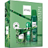 C-Thru Leuchtendes Smaragd Eau de Toilette für Frauen 30 ml + Deodorant Spray 150 ml + Duftkerze, Geschenkset