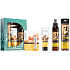 Dr. Santé Arganöl und Keratin Shampoo für geschädigtes Haar 250 ml + Haarspray für geschädigtes Haar 150 ml + Handcreme zur Wiederherstellung der Hautelastizität 75 ml + Lippenbalsam 4 g, Kosmetikset
