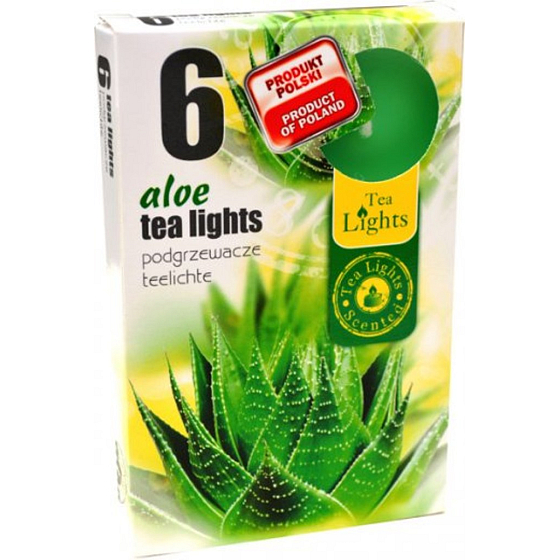 Teelichter Aloe Vera duftende Teelichter 6 Stück