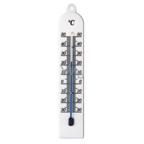 Schneider Thermometer Plastik Interieur, Kunststoff, weiß, 177 x 34 mm