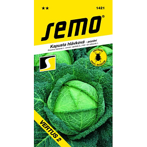 Semo Spätspätkohl Vertus 2 0,8 g
