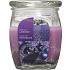 Bolsius Aromatischer französischer Lavendel - Duftkerze aus französischem Lavendel in Glas 92 x 120 mm 830 g, Brenndauer 100 Stunden