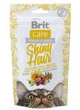Brit Care Katzensnack Shiny Hair Salmon Zierliche, halbweiche Ergänzung für Katzen 50 g