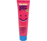 Pure Paw Paw Strawberry Balm für Haut, Lippen und Make-up 25 g