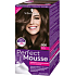 Schwarzkopf Perfect Mousse Permanentschaum Haarfarbe 500 Mittelbraun