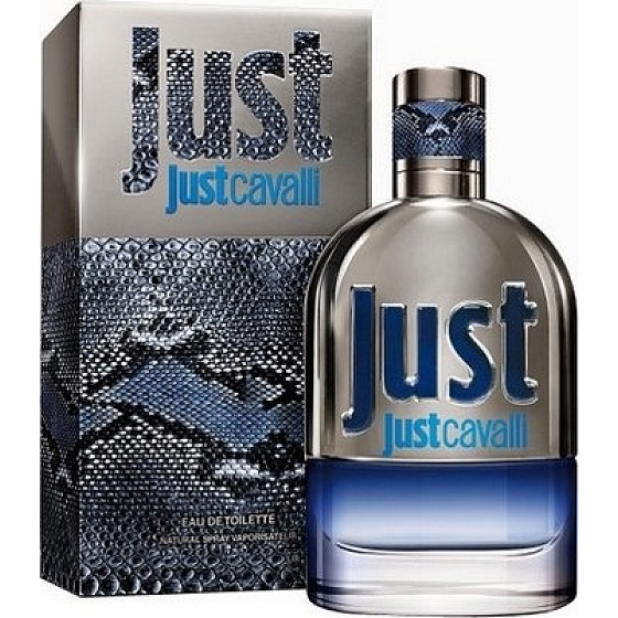 Roberto Cavalli Nur Cavalli für ihn Eau de Toilette 50 ml