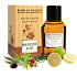 Jeanne en Provence Männer Bois D Olivier & Cade Eau de Toilette 100 ml