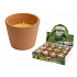 Citronella braune Terrakotta-Kerze 75 x 65 mm