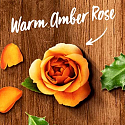 Air Wick Reed Diffusor Ätherische Öle Warme Bernsteinrose - Duft von Bernsteinrosen-Räucherstäbchen Lufterfrischer 30 ml