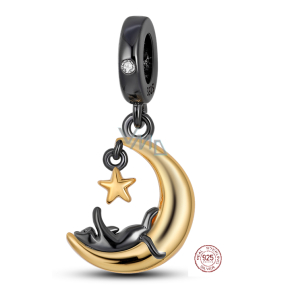 Sterling Silber 925 Katze auf dem Mond - das verspielte Wesen eines katzenartigen Begleiters, Haustier-Armband-Anhänger Sterling Silber 925 Katze auf dem Mond - das verspielte Wesen eines katzenartigen Begleiters, Haustier-Armband-Anhänger