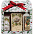Bohemia Gifts Weihnachtsgeschenkset Duschgels 2× 100 ml + duftender Kartenapfel und Zimt