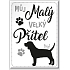 Nekupto Haustiere Magnet Beagle 66 x 90 x 2 mm