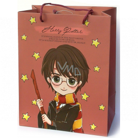 Degen Merch Harry Potter - Harry Geschenk Papiertüte 18 x 22,5 x 10 cm