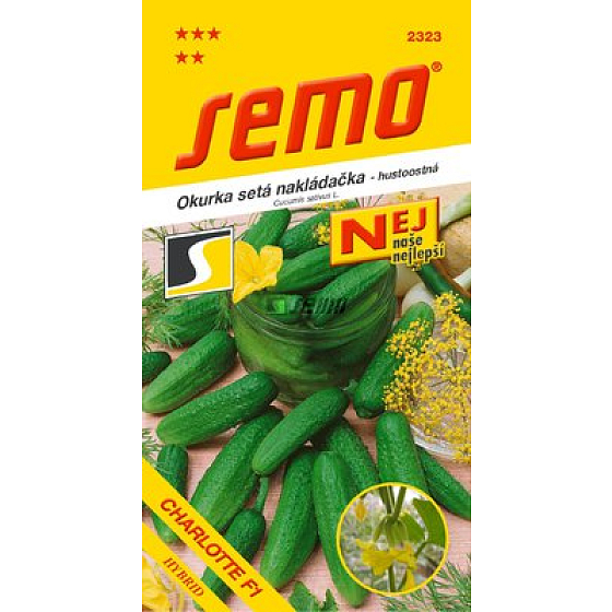 Semo Charlotte F1 Gurken Satzgurken 1,5 g