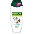 Palmolive Duschgel Naturals Coconut & Milk, 250 ml