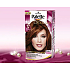 Schwarzkopf Palette Deluxe Haarfarbe 667 Kupfer 115 ml