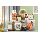 Yankee Candle Warm Desert Wind - Warme Duftkerze mit Wüstenwind Klassisches großes Glas 623 g