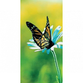 Albi Magnetisches Lesezeichen für das Buch Schmetterling auf einer Blume 8,7 x 4,4 cm