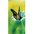 Albi Magnetisches Lesezeichen für das Buch Schmetterling auf einer Blume 8,7 x 4,4 cm