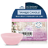 Yankee Candle Snowflake Kisses - Snowflake Kisses duftenden Wachs für aromalampy 22 g